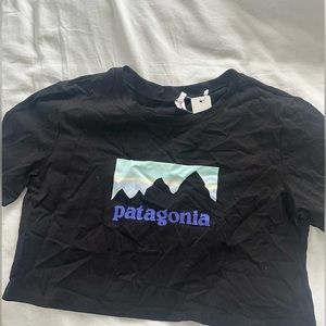 patagonia cropped t shirt
